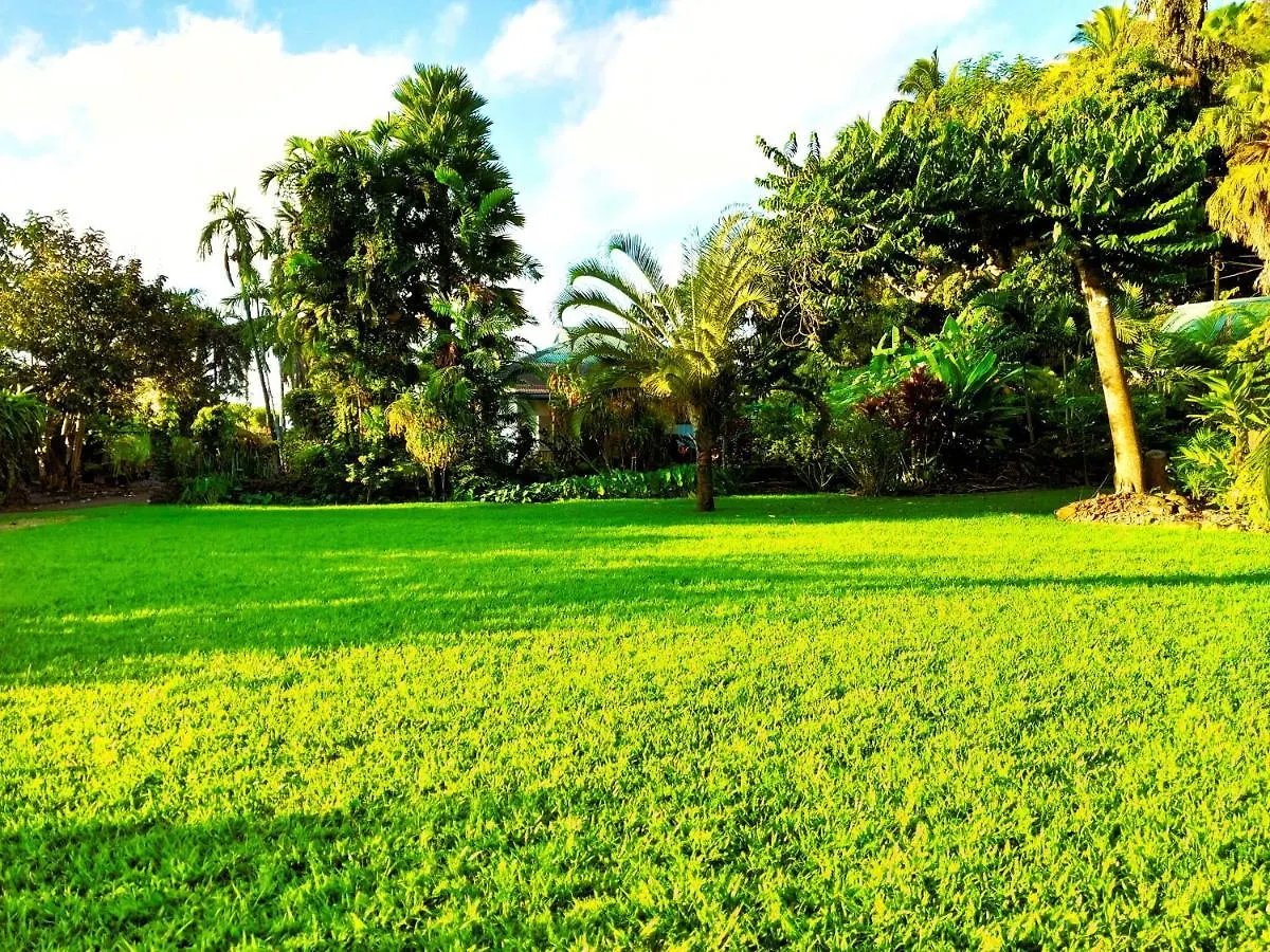 Tahiti - Haumaru Beach Fare Mahina Holiday home